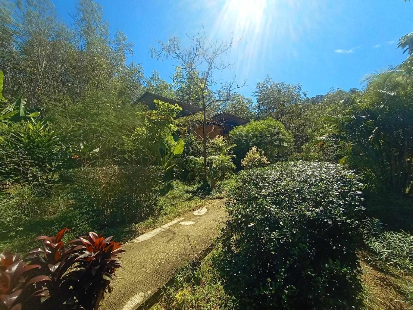 Koh Mook Bamboo Bungalows Εξωτερικό φωτογραφία