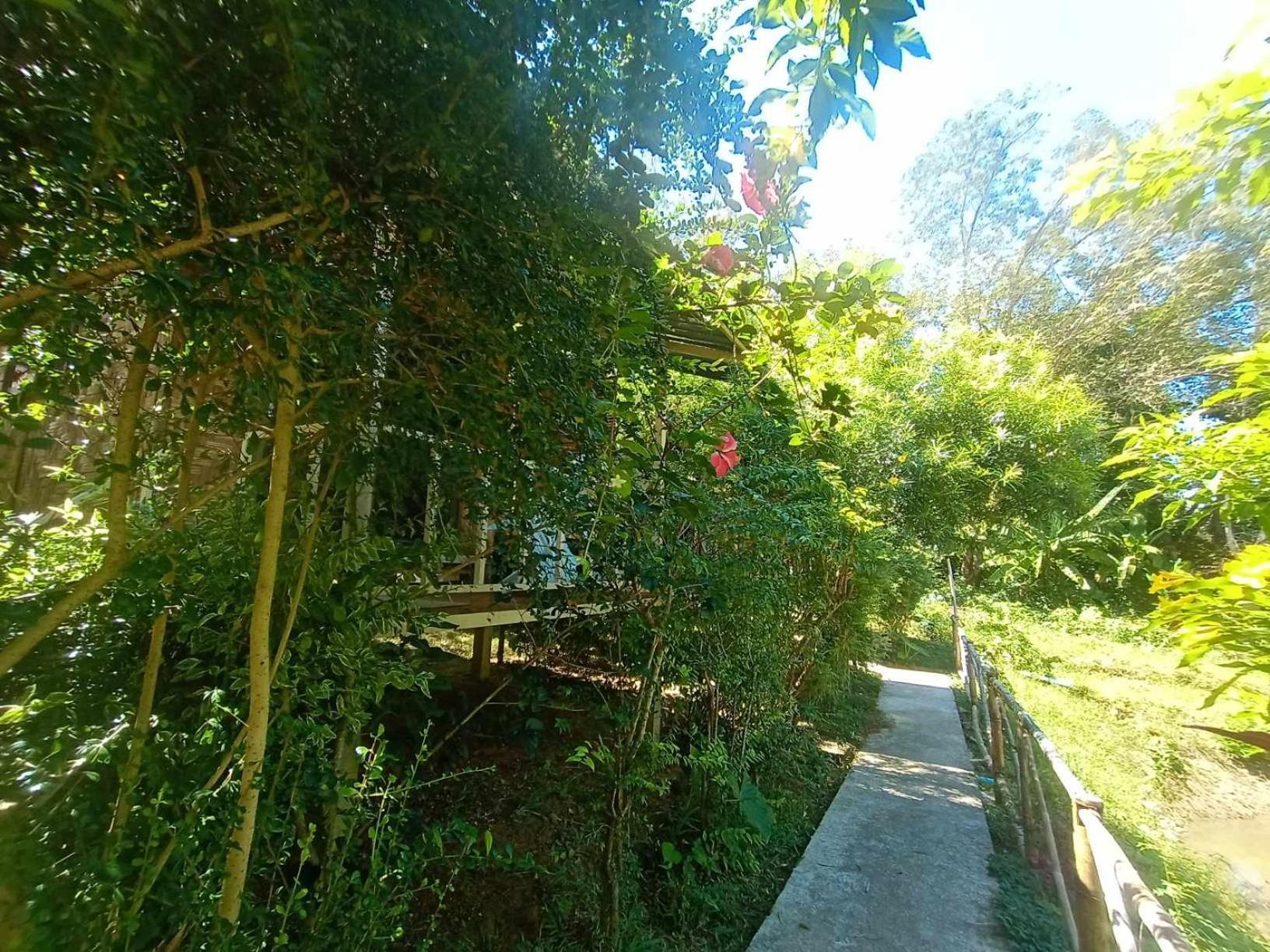 Koh Mook Bamboo Bungalows Εξωτερικό φωτογραφία