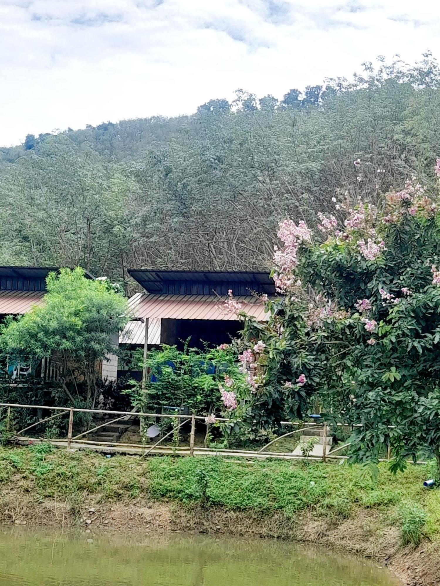Koh Mook Bamboo Bungalows Εξωτερικό φωτογραφία